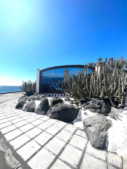 Casa A 50 Metros De La Playa. Supreme Pedro Villa El Socorro Екстериор снимка